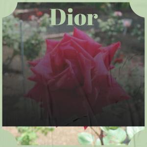 Album Dior from 
