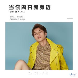 Listen to Dang Ni Li Kai Wo Shen Bian (伴奏) song with lyrics from 苏小白