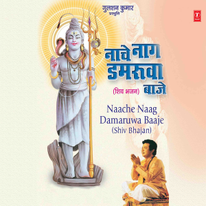 ดาวน์โหลดและฟังเพลง Shiv Ki Bhakti Karoge พร้อมเนื้อเพลงจาก Shailaja