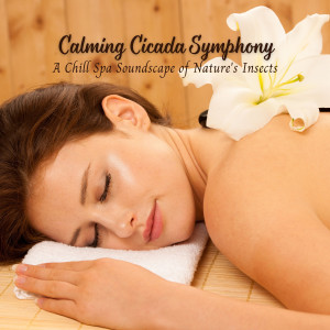 Album Calming Cicada Symphony: A Chill Spa Soundscape of Nature's Insects from Mother Nature