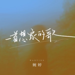 婉婷的专辑一首想家的歌