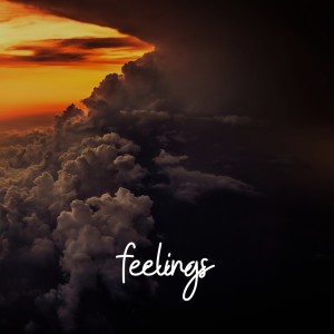 Album Feelings oleh Rifat