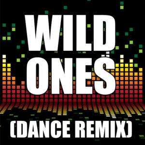The Re-Mix Heroes的專輯Wild Ones
