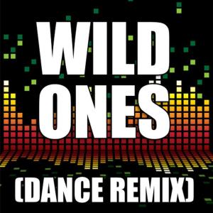 收聽Redd Stylez的Wild Ones (Dance Remix|Explicit)歌詞歌曲
