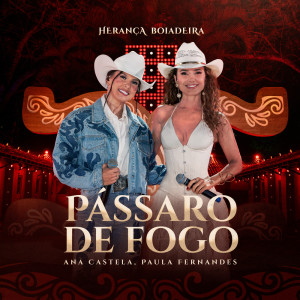 ดาวน์โหลดและฟังเพลง Pássaro de Fogo (Ao Vivo) พร้อมเนื้อเพลงจาก Ana Castela