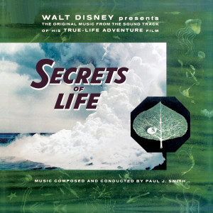 Paul J. Smith的專輯Walt Disney Presents The Original Music from the Sound Track of his True-Life Adventure Film "Secrets of Life"