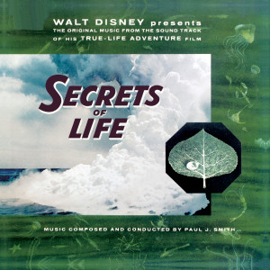 收聽Paul J. Smith的Nature's Secret (Instrumental)歌詞歌曲
