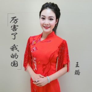 王璐的专辑厉害了 我的国