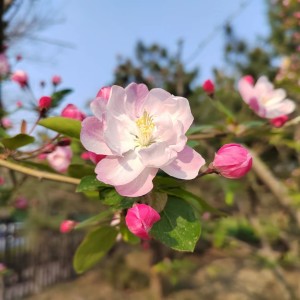 Listen to 春回州河湾 (完整版) song with lyrics from 潘国兴