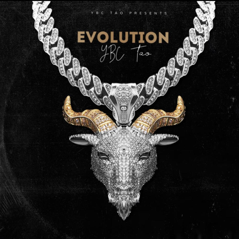 Emotions (feat. Lil Mari) (Explicit)
