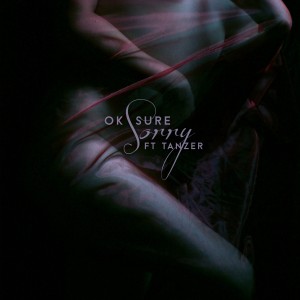 ดาวน์โหลดและฟังเพลง Sorry พร้อมเนื้อเพลงจาก Ok Sure
