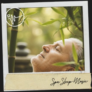อัลบัม Spa Sleep Music: Zen Lullabies for Restful Nights ศิลปิน Música Relajante Para Leer