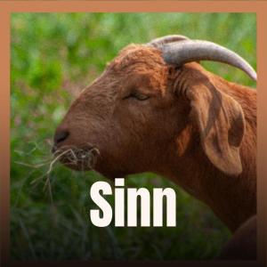 Listen to Pass Approximately song with lyrics from Rass Dein