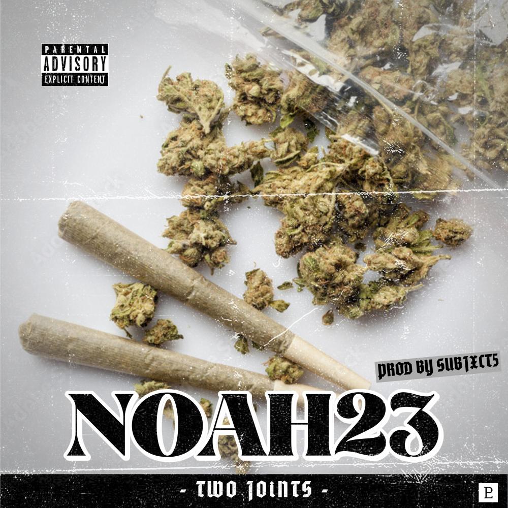 Two Joints (Explicit)