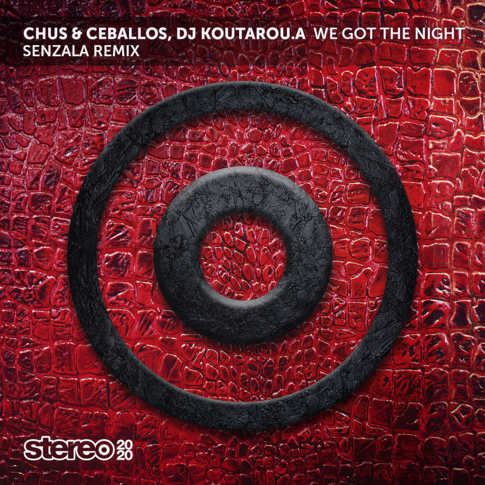 We Got the Night (Senzala Remix)