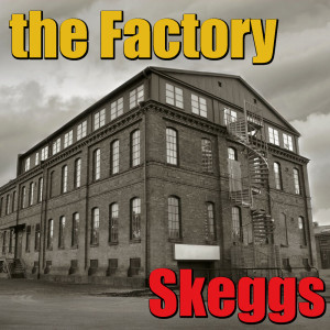 Album The Factory from Skeggs