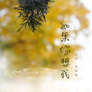 Album 如果你想我 from 