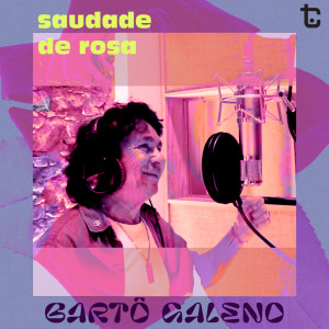 Album Saudade de Rosa oleh Fogo & Paixão