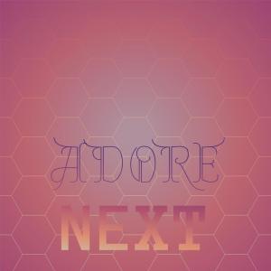Album Adore Next from Various