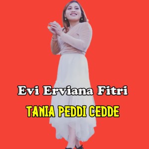 收聽Evi Erviana Fitri的Tania Peddi Cedde歌詞歌曲