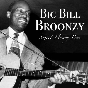 ดาวน์โหลดและฟังเพลง Romance Without Finance พร้อมเนื้อเพลงจาก Big Bill Broonzy