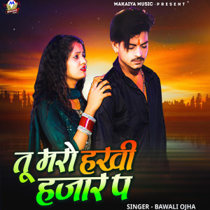 Album Tu Maro Hakhi Hajaar Pa from Bawali Ojha
