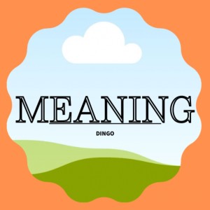 Album Meaning from Dingo