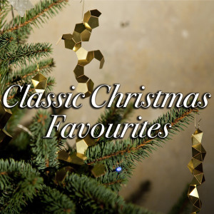 Listen to Little Drummer Boy song with lyrics from Wildlife