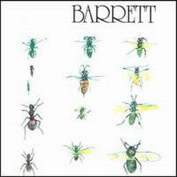 ดาวน์โหลดและฟังเพลง Maisie พร้อมเนื้อเพลงจาก Syd Barrett