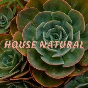 Album House Natural from Various
