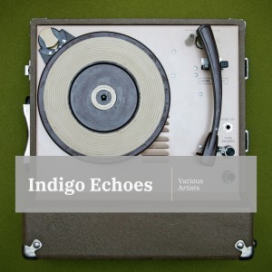Various Artists的專輯Indigo Echoes