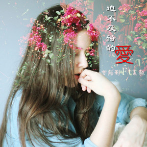 Listen to 迫不及待的爱 song with lyrics from 雪无影