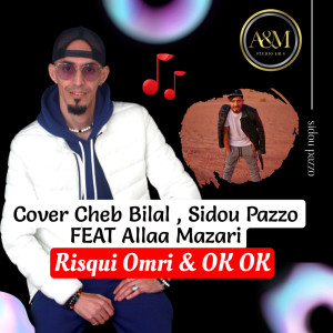 Listen to Risqui Omri & OK OK song with lyrics from Cheb Bilal