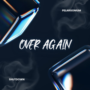 收聽Pelargonium的Over Again歌詞歌曲