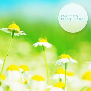 Album New Age Of Happiness To Convey Joy To Study Time from Korea Various Artists
