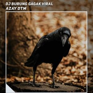 Dj Burung Gagak Viral dari Azay DTM