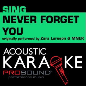 ดาวน์โหลดและฟังเพลง Never Forget You (Originally Performed by Zara Larsson & Mnek) [Instrumental Version] (Instrumental Version) พร้อมเนื้อเพลงจาก ProSound Karaoke Band