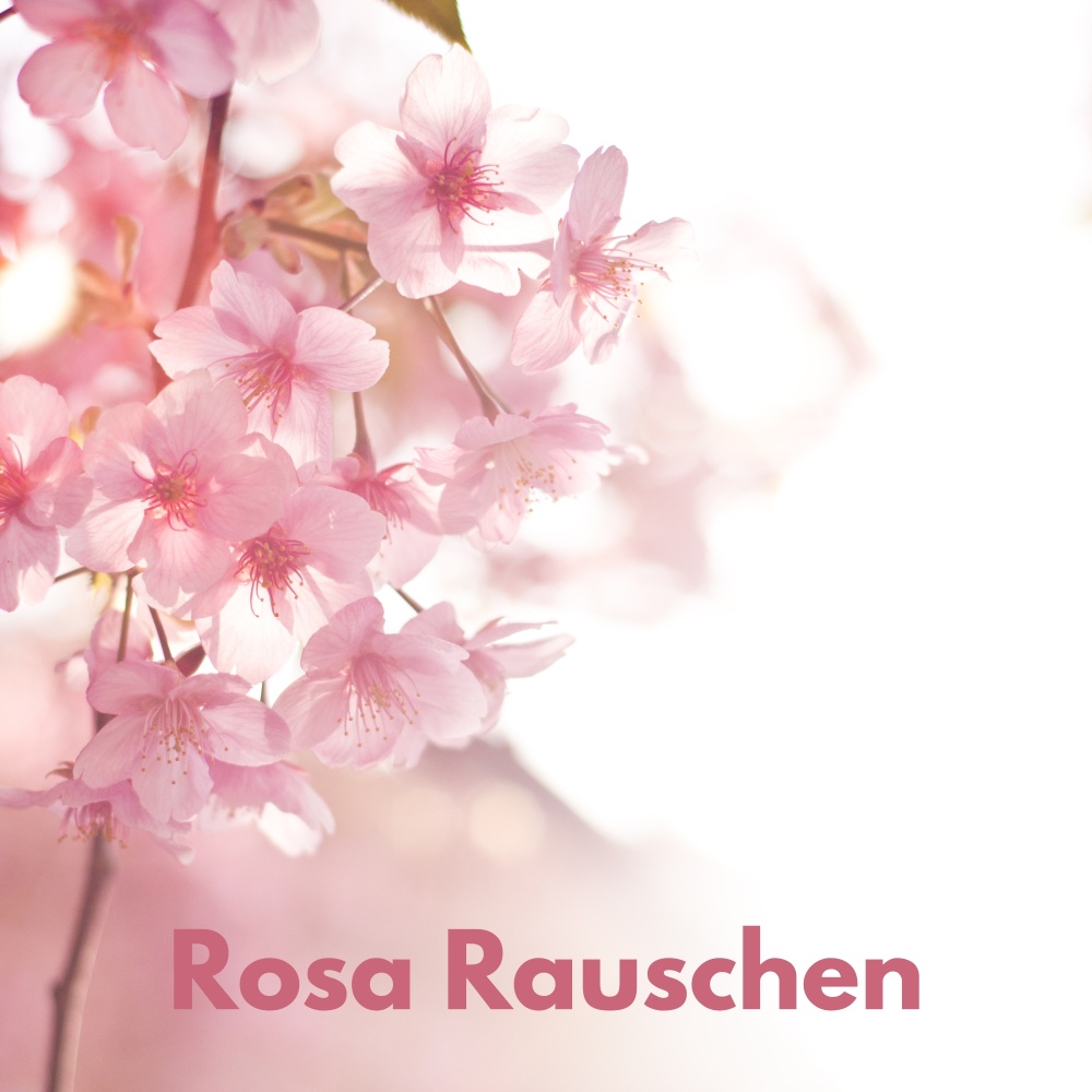Rosa Rauschen Gerät