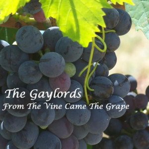 ดาวน์โหลดและฟังเพลง One Night Only พร้อมเนื้อเพลงจาก Gaylords