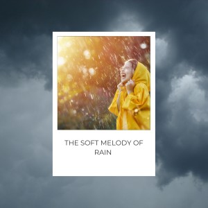 Album The Soft Melody of Rain oleh Gentle Rain Makers
