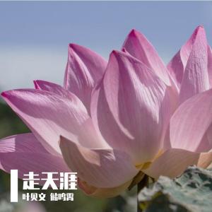 Listen to 走天涯 song with lyrics from 叶贝文
