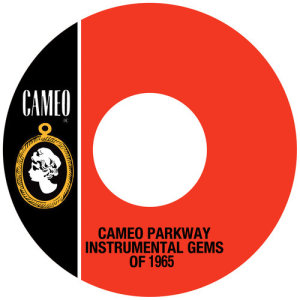 อัลบัม Cameo Parkway Instrumental Gems Of 1964 ศิลปิน Various