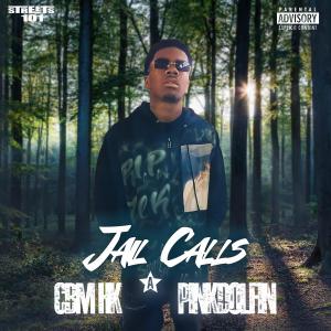 ดาวน์โหลดและฟังเพลง Jail Calls (Take Me Home) (feat. Cbm’hk) (Explicit) พร้อมเนื้อเพลงจาก PinkDolfin
