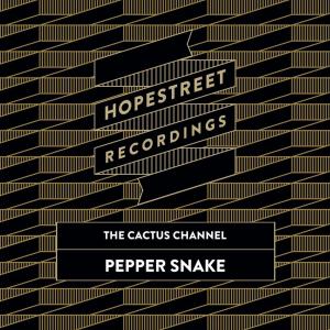 ดาวน์โหลดและฟังเพลง Pepper Snake พร้อมเนื้อเพลงจาก The Cactus Channel