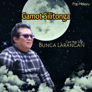 收聽Gamot Silitonga的Bunga Larangan歌詞歌曲