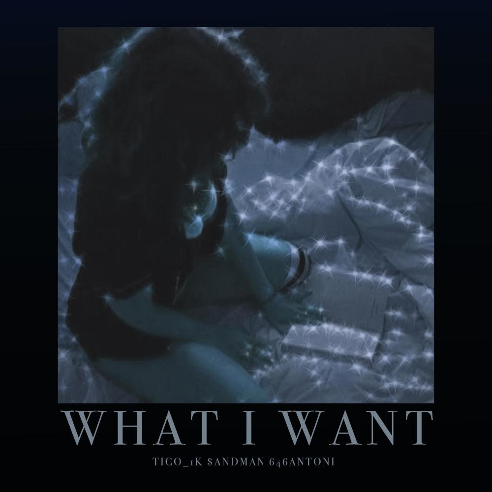 What I Want (feat. 646Antoni)