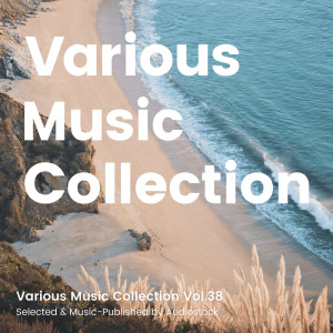 ดาวน์โหลดและฟังเพลง I Wish You Happiness พร้อมเนื้อเพลงจาก Naoki Tsuchiya