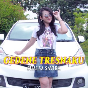 收聽Shalsa Savira的Gedene Tresnaku歌詞歌曲
