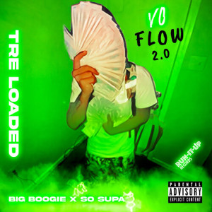 Vo Flow 2.0 (Explicit)