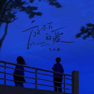 Album 放不下的爱 from 飞小鱼